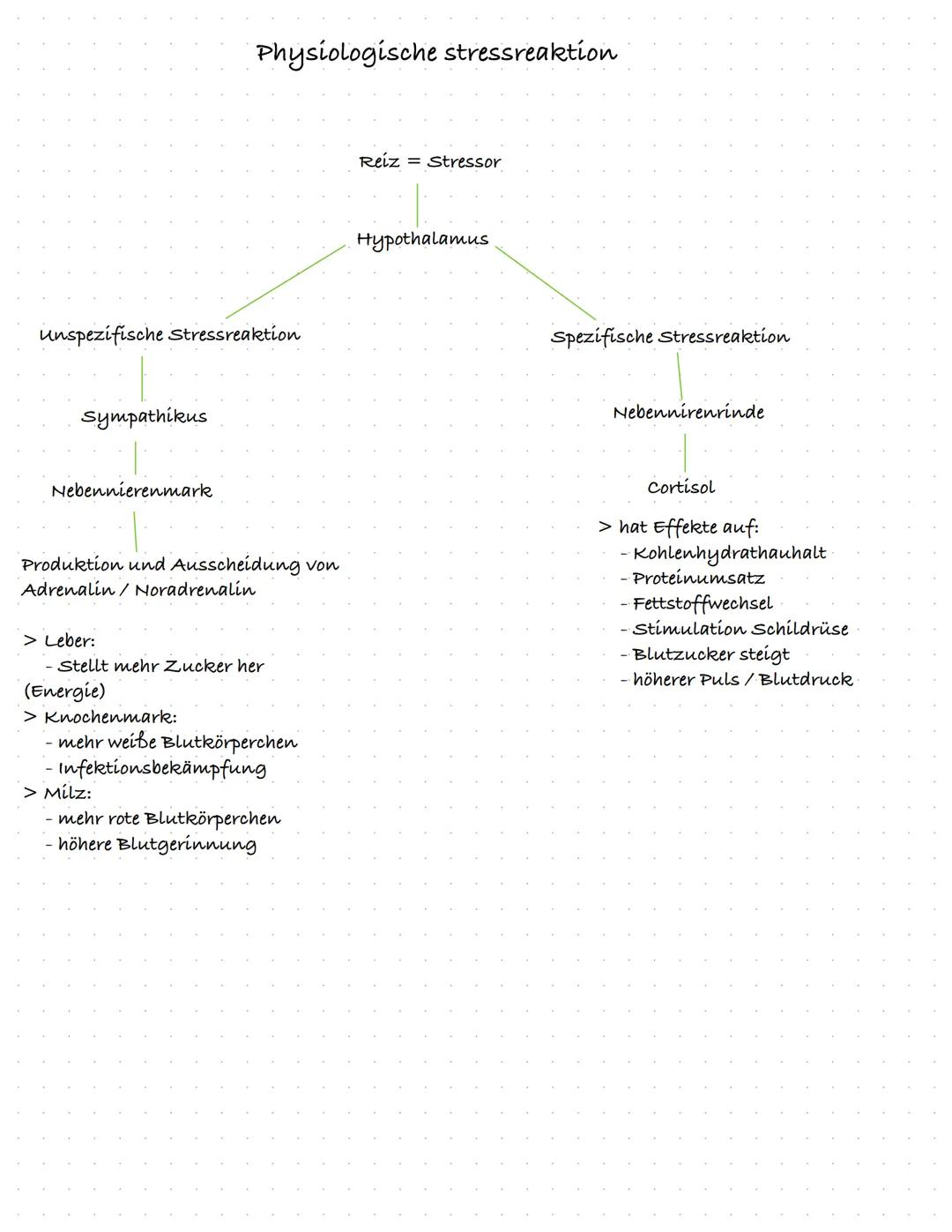 # STRESS

= Allgemein, die negativen Folgen bei überforderung

- bezeichnet psychische/physische Reaktion, die zur Bewältigung besonderer An