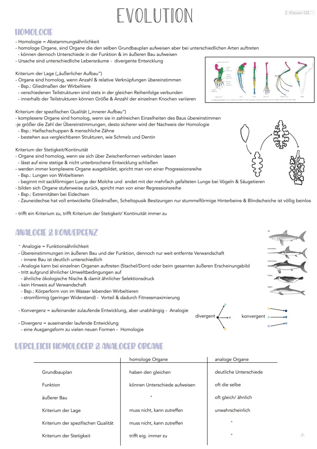 HOMOLOCIE
- Homologie = Abstammungsähnlichkeit
- homologe Organe, sind Organe die den selben Grundbauplan aufweisen aber bei unterschiedlich