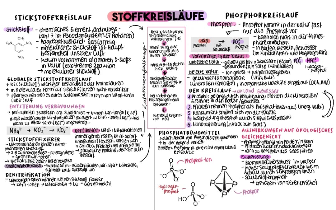 Stoffkreisläufe 