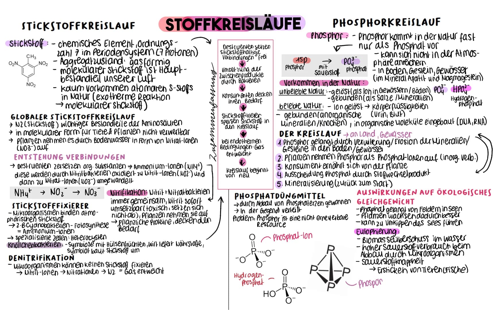 STICKSTOFFKREISLAUF
CH3
Stickstoff-chemisches Element, Ordnungs-
zahl 7 im Periodensystem (7 Protonen)
O₂N. NO₂ - Aggregatzustand: gasformig
