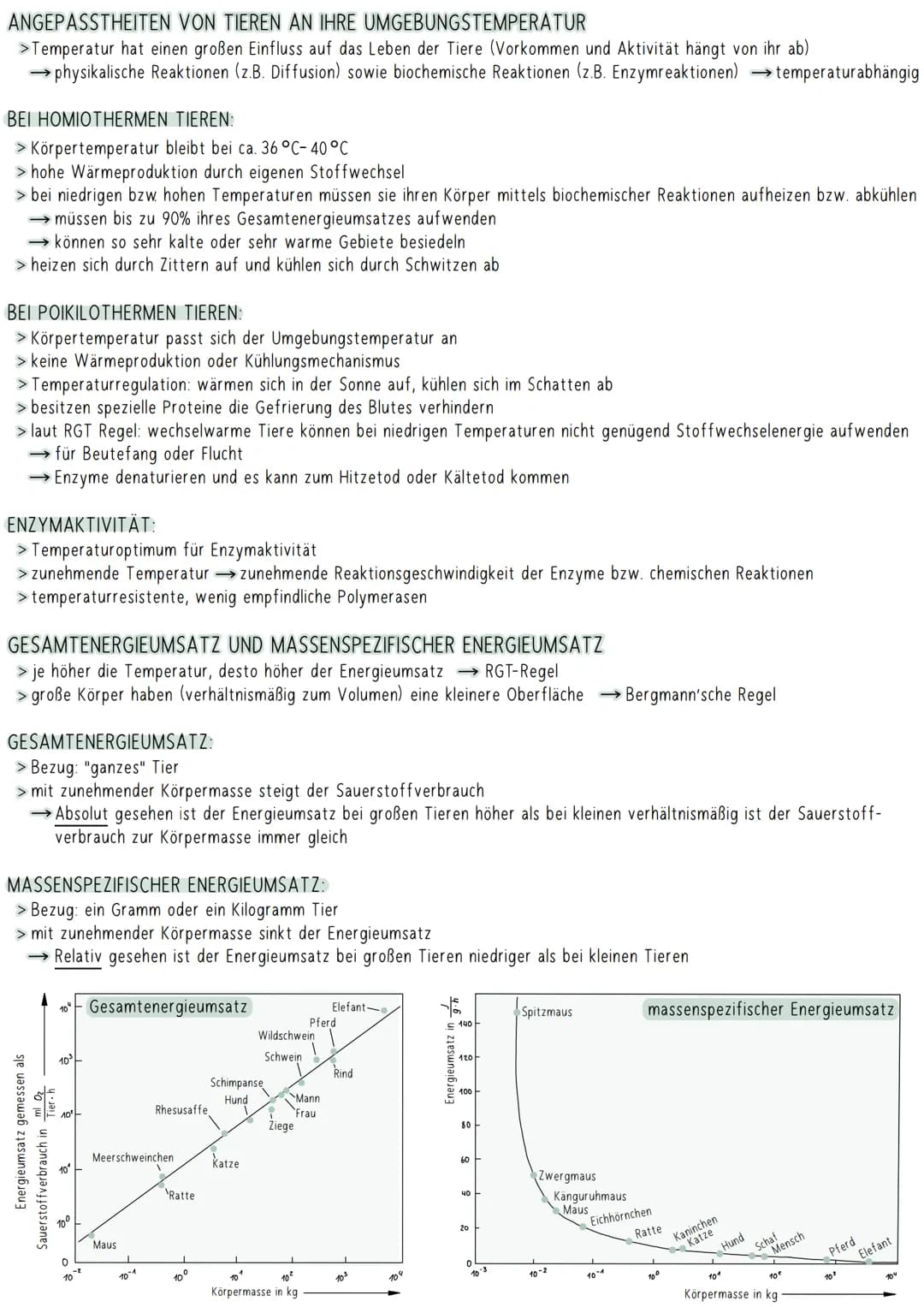 ANGEPASSTHEITEN VON TIEREN AN IHRE UMGEBUNGSTEMPERATUR
>Temperatur hat einen großen Einfluss auf das Leben der Tiere (Vorkommen und Aktivitä