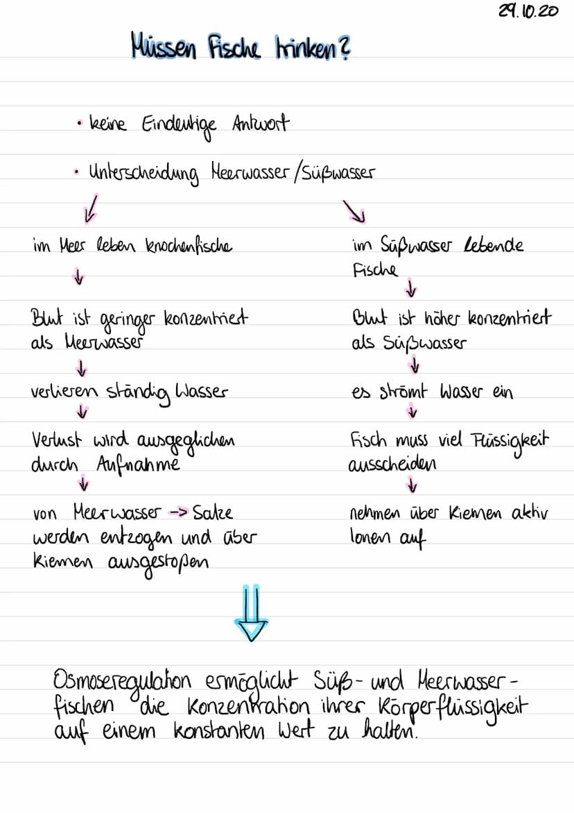 J
Ökologie
Umwelt: Zusammensetzung aus abiotischen (unbeleblen).
und biolischen (beleblen) Faktoren
=> alle Einflüsse und Beziehungen, die z