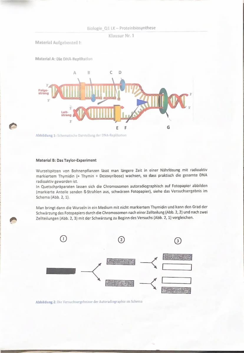A) Inhaltliche Leistung
Tell I: Replikation der DNA
Aufgabe 1.1
Du hast jeweils den Buchstaben des Materials A die korrekten Fachbegriffe
zu