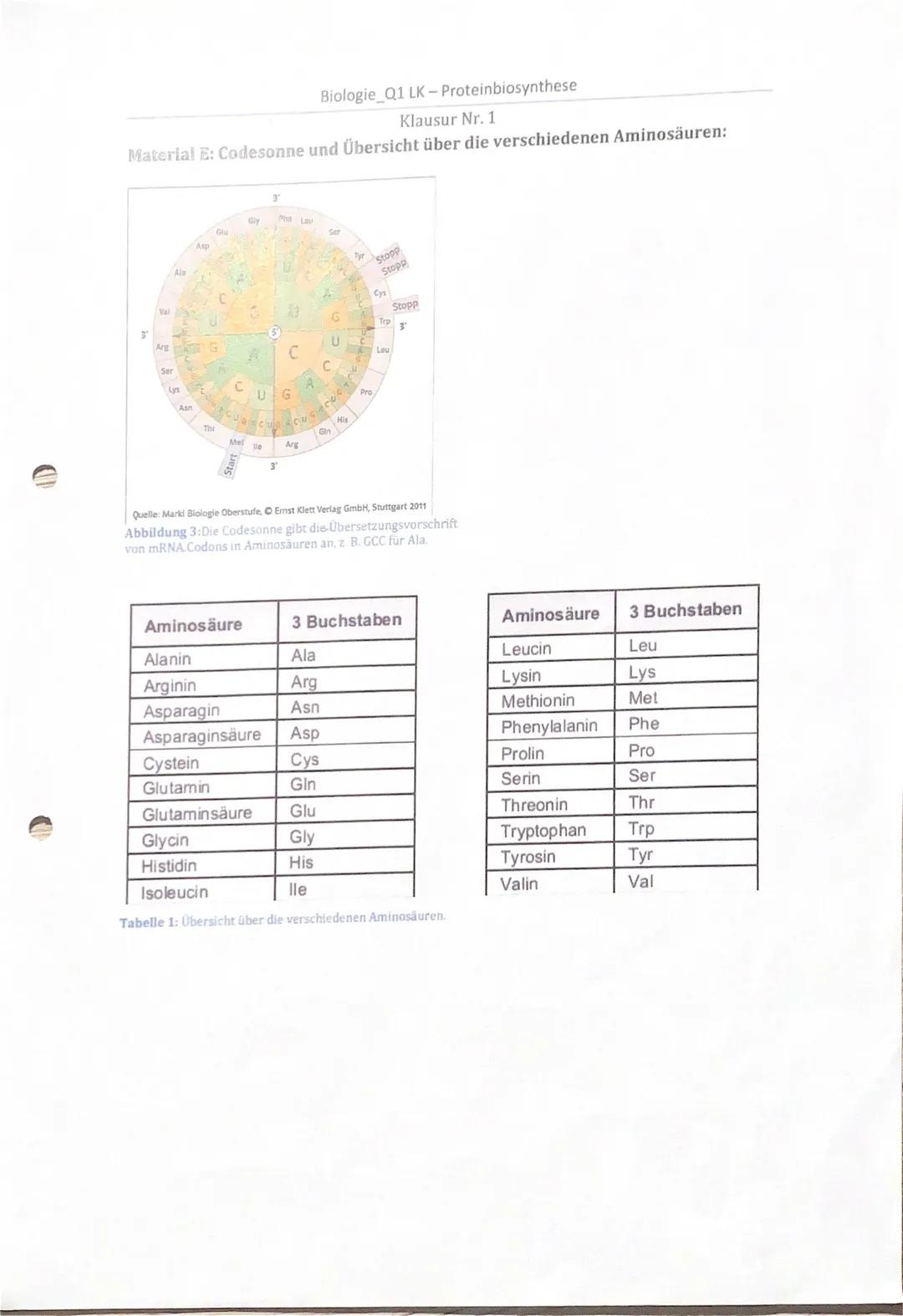 A) Inhaltliche Leistung
Tell I: Replikation der DNA
Aufgabe 1.1
Du hast jeweils den Buchstaben des Materials A die korrekten Fachbegriffe
zu