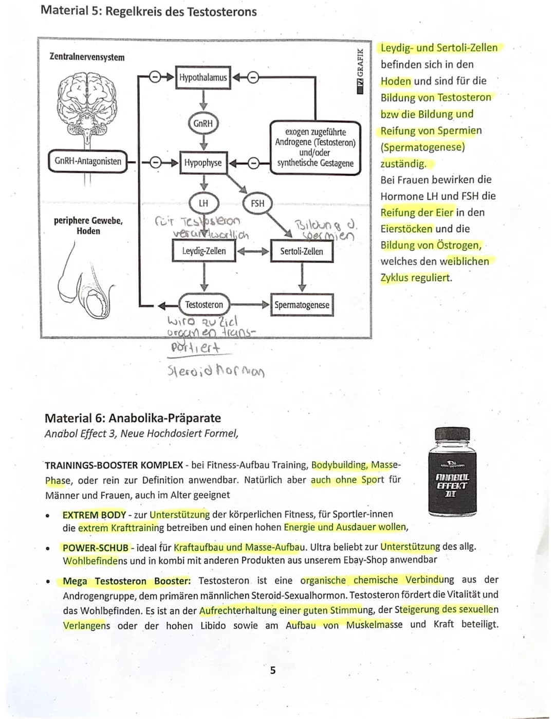 Steroidhormone, durch Zellmembran, Hormonrezepotern in der Zelle, aktivieren Gene, Bildung von Proteinen
Schilddrüse: T3+T4 → Zielzellen all