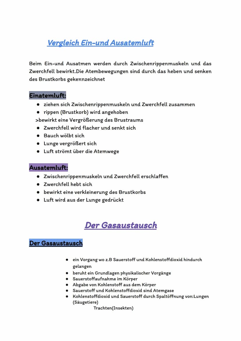 Atmungsorgane
Atmungsorgane sind die Organe in unserem Körper,die für den
Sauerstofftransport und den Gasaustausch zuständig sind.
Bei den A
