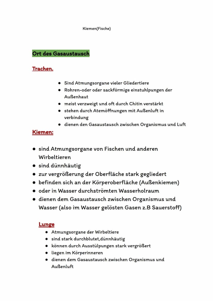 Atmungsorgane
Atmungsorgane sind die Organe in unserem Körper,die für den
Sauerstofftransport und den Gasaustausch zuständig sind.
Bei den A