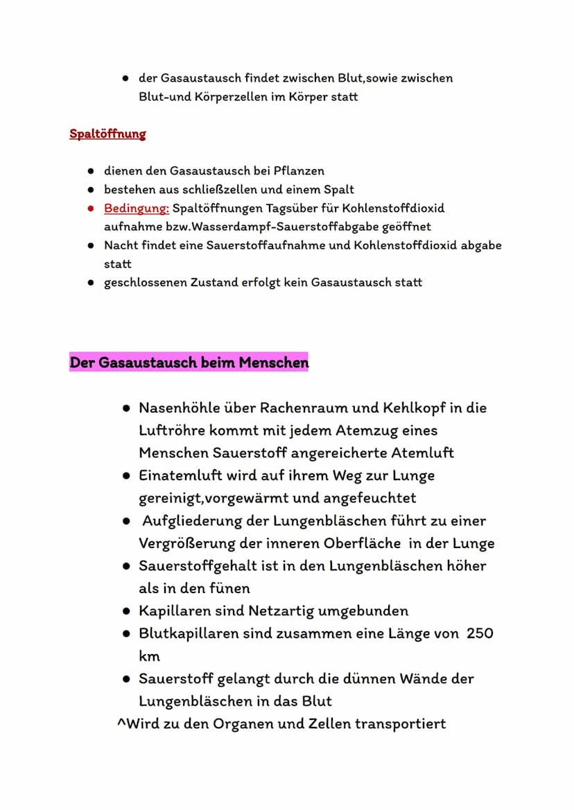 Atmungsorgane
Atmungsorgane sind die Organe in unserem Körper,die für den
Sauerstofftransport und den Gasaustausch zuständig sind.
Bei den A