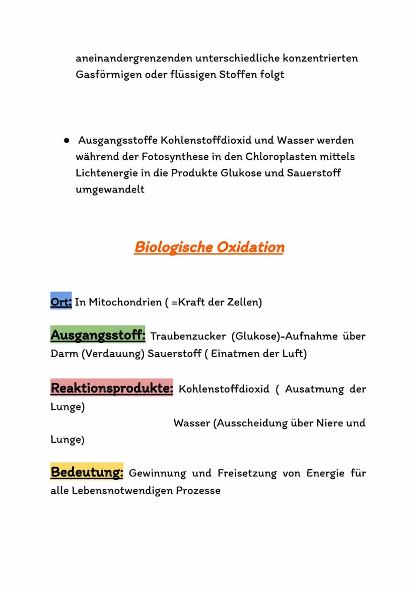 Atmungsorgane
Atmungsorgane sind die Organe in unserem Körper,die für den
Sauerstofftransport und den Gasaustausch zuständig sind.
Bei den A