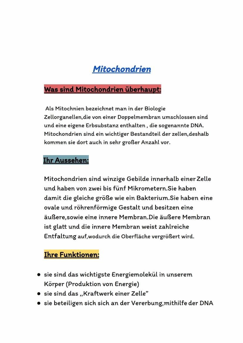 Atmungsorgane
Atmungsorgane sind die Organe in unserem Körper,die für den
Sauerstofftransport und den Gasaustausch zuständig sind.
Bei den A