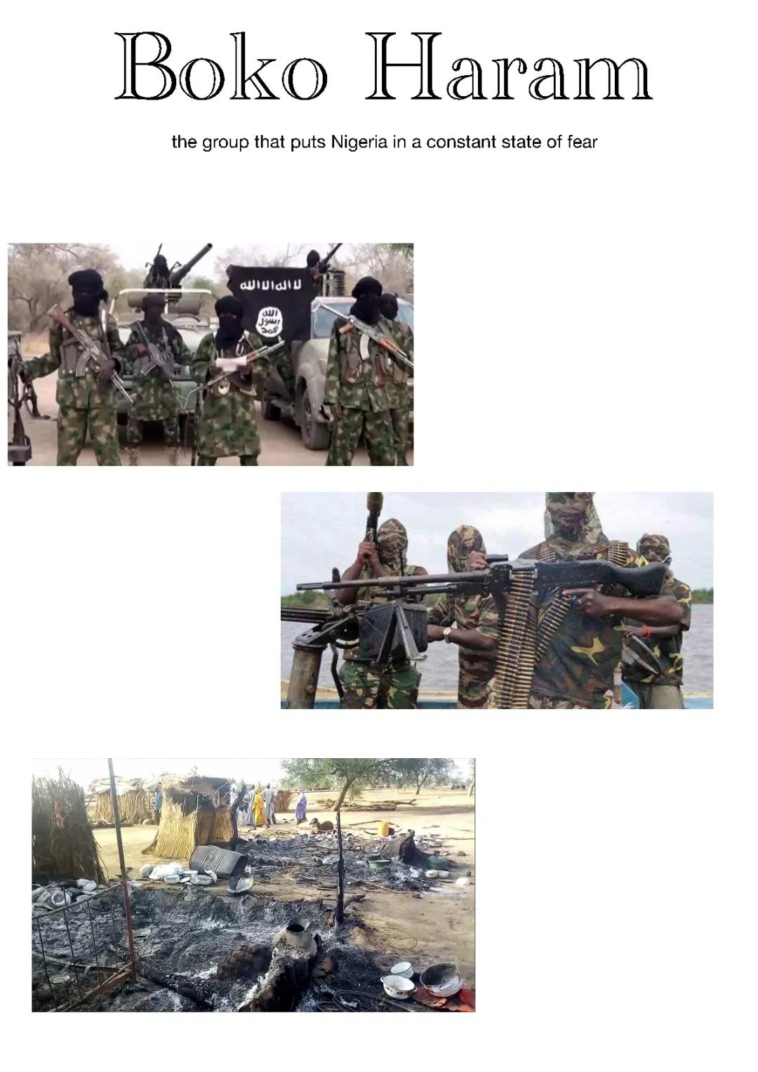 Understanding Boko Haram: Its Goals, Actions, and Impact on Nigeria