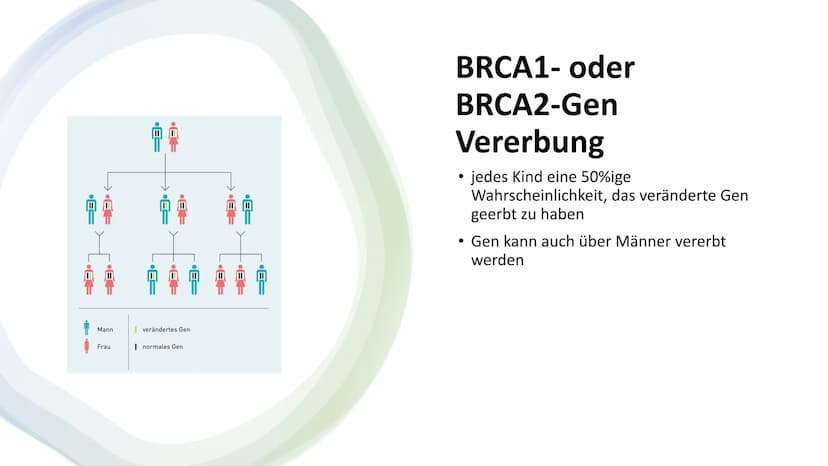 Brustkrebs-
Eine Krankheit,
an der man
sterben muss? Gliederung
1 Mammakarzinom
2 Risikofaktoren
3 Brustkrebs-Früherkennung
4 Mutation von B