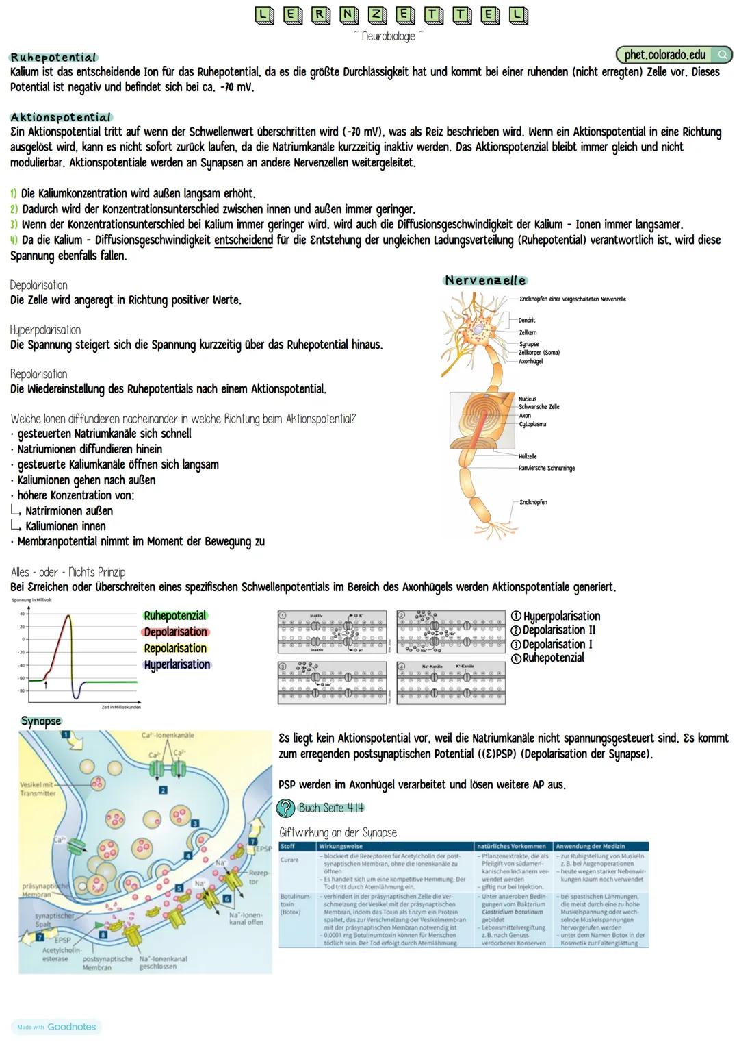 Beschreibung eines Diagramms / Graphen
Der y - Wert wird in Abhängigkeit vom x-Wert gemessen, dies wird im Bereich der Notierung y - Achse u