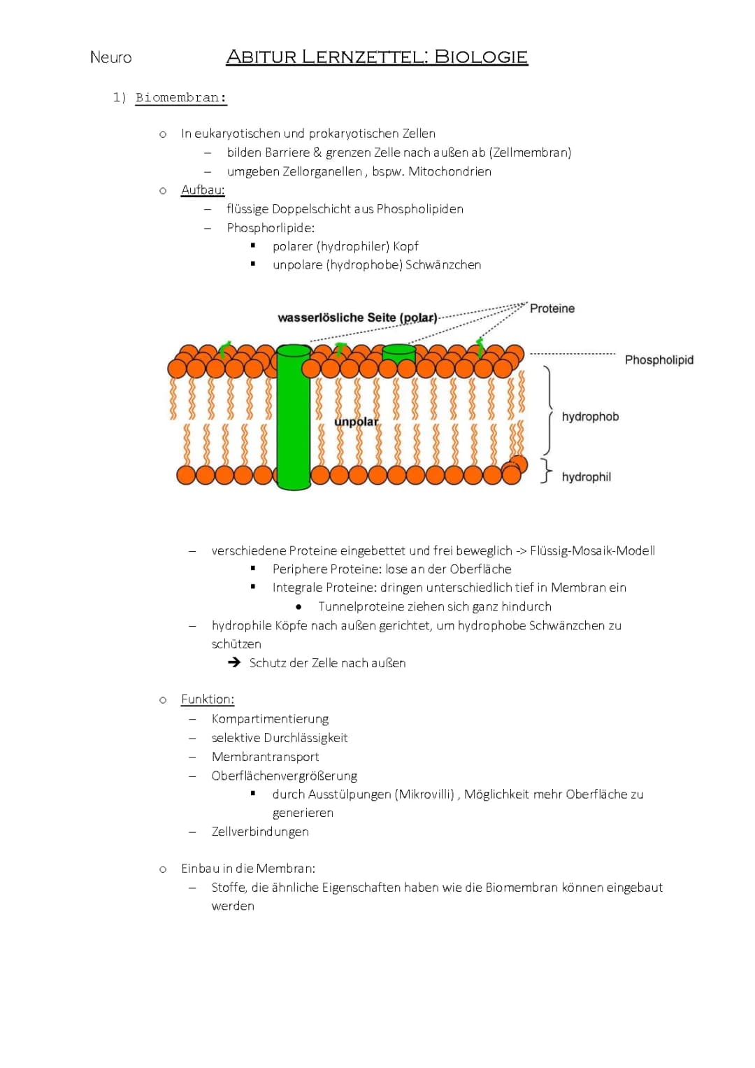 Neuro 