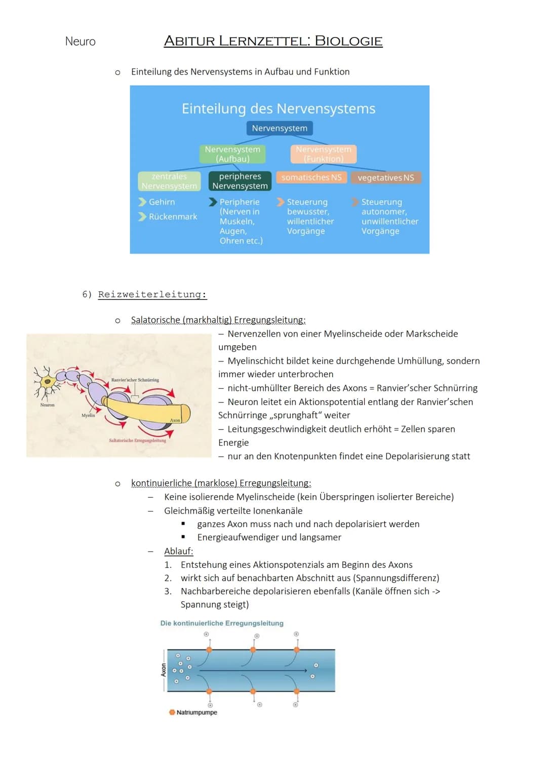 Neuro
1) Biomembran:
O
O
In eukaryotischen und prokaryotischen Zellen
Aufbau:
ABITUR LERNZETTEL: BIOLOGIE
00
bilden Barriere & grenzen Zelle