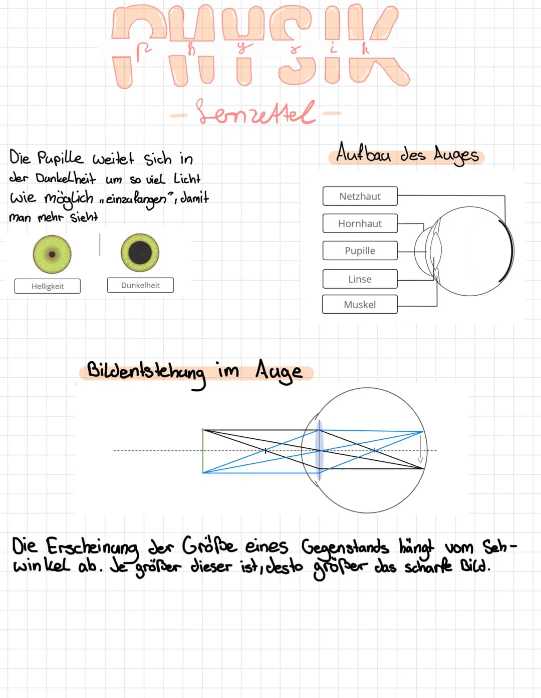 PHYSIK
Senzettel-
Lochkamera und Bild Entstehung
Gegenstand
Loch blende
Schirm
Jenny Nguyen
Das Bild was auf dem Schirm entsteht, steht auf 