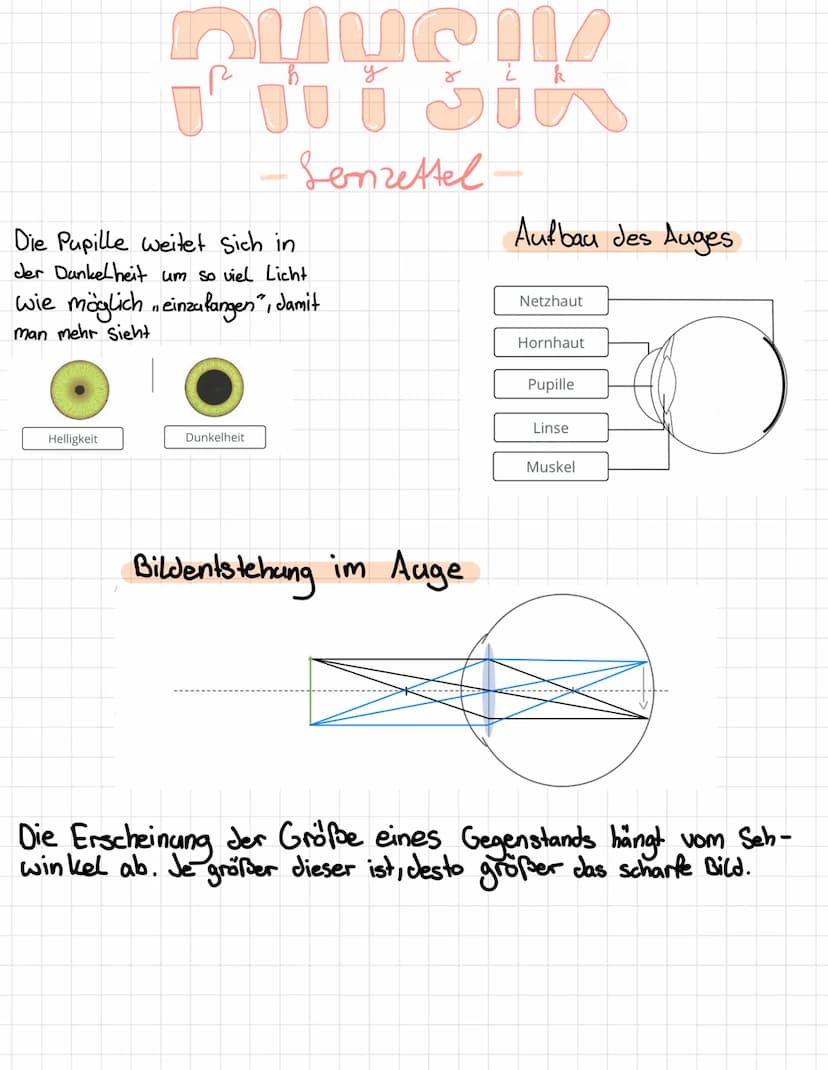 PHYSIK
Senzettel-
Lochkamera und Bild Entstehung
Gegenstand
Loch blende
Schirm
Jenny Nguyen
Das Bild was auf dem Schirm entsteht, steht auf 