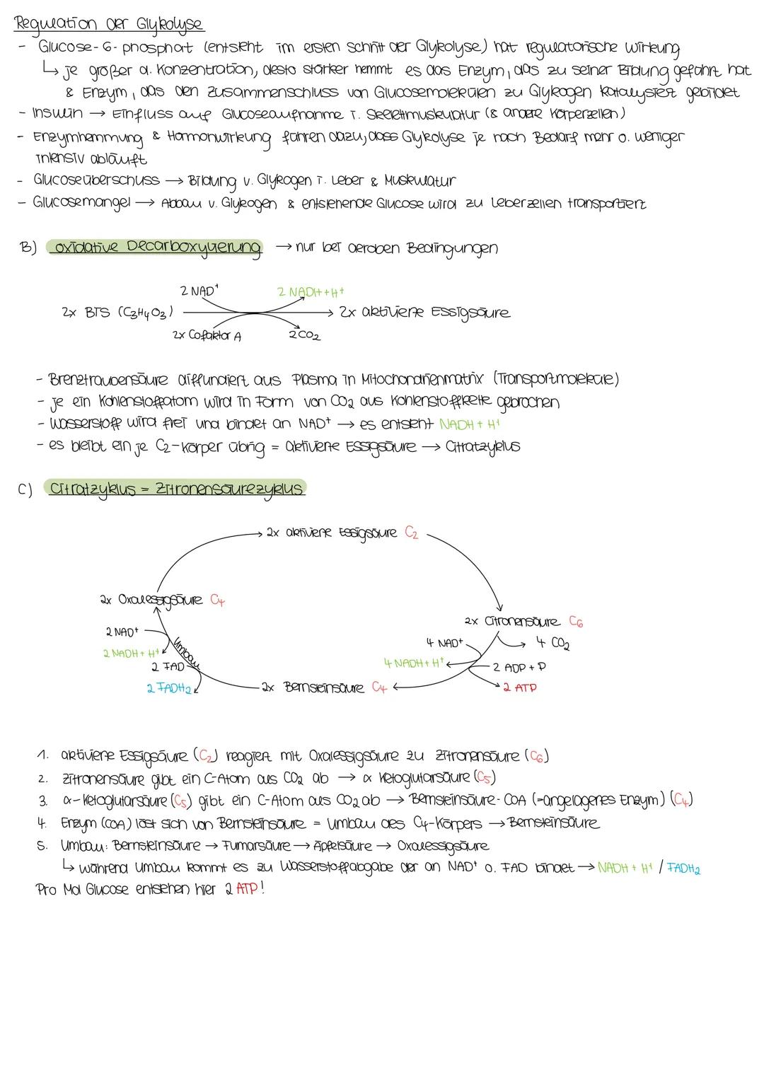 DISSIMILATION
Mitochonarien:
- in Eukaryoten
- tierische Zellen, Zellen mit hohem Energieverbrauch (2.B. Muskelzellen)
·Doppelmembran
enthal