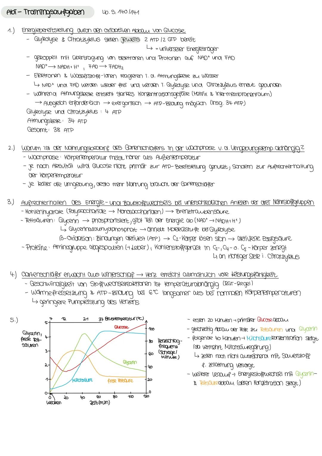 DISSIMILATION
Mitochonarien:
- in Eukaryoten
- tierische Zellen, Zellen mit hohem Energieverbrauch (2.B. Muskelzellen)
·Doppelmembran
enthal