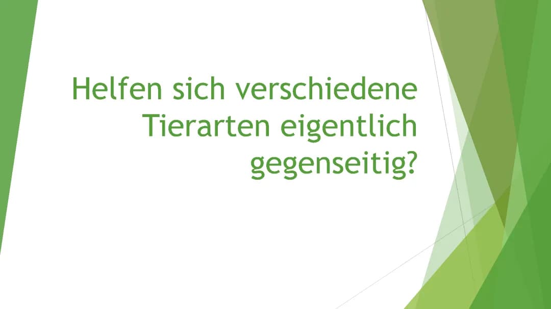 Coole Symbiose Beispiele: Tiere und Pflanzen, die zusammenleben!