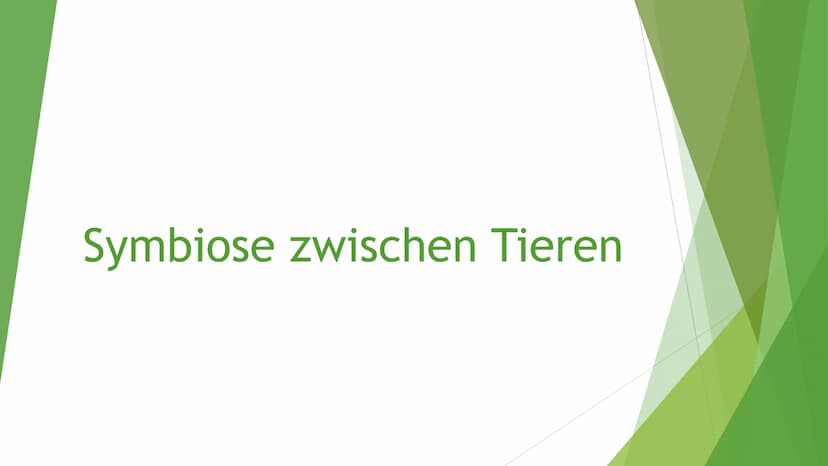 Helfen sich verschiedene
Tierarten eigentlich
gegenseitig? Victoria Lehrhuber, 10A
1. Definition Symbiose:
Symbiose zwischen Tieren
●
griech