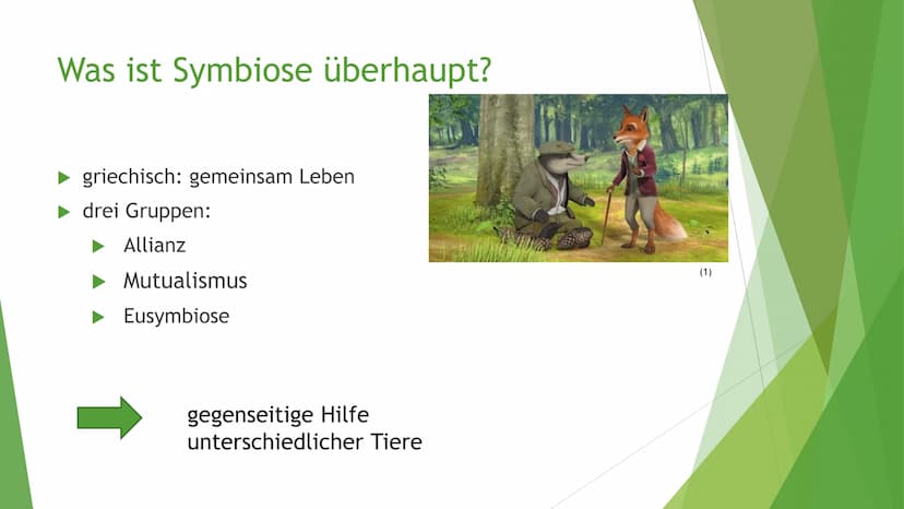 Helfen sich verschiedene
Tierarten eigentlich
gegenseitig? Victoria Lehrhuber, 10A
1. Definition Symbiose:
Symbiose zwischen Tieren
●
griech