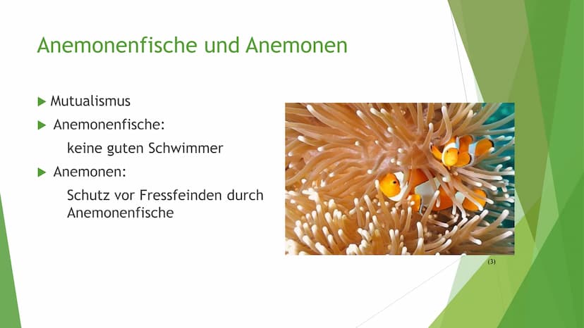 Helfen sich verschiedene
Tierarten eigentlich
gegenseitig? Victoria Lehrhuber, 10A
1. Definition Symbiose:
Symbiose zwischen Tieren
●
griech