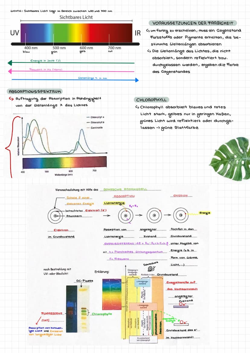OXYGENE PHOTOSYNTHESE
C Photosynthese, bei der als Produkt
Sauerstoff entsteht
PHOTOAUTOTROPH
C, Energie in Form von Licht
Photosynthese
>De