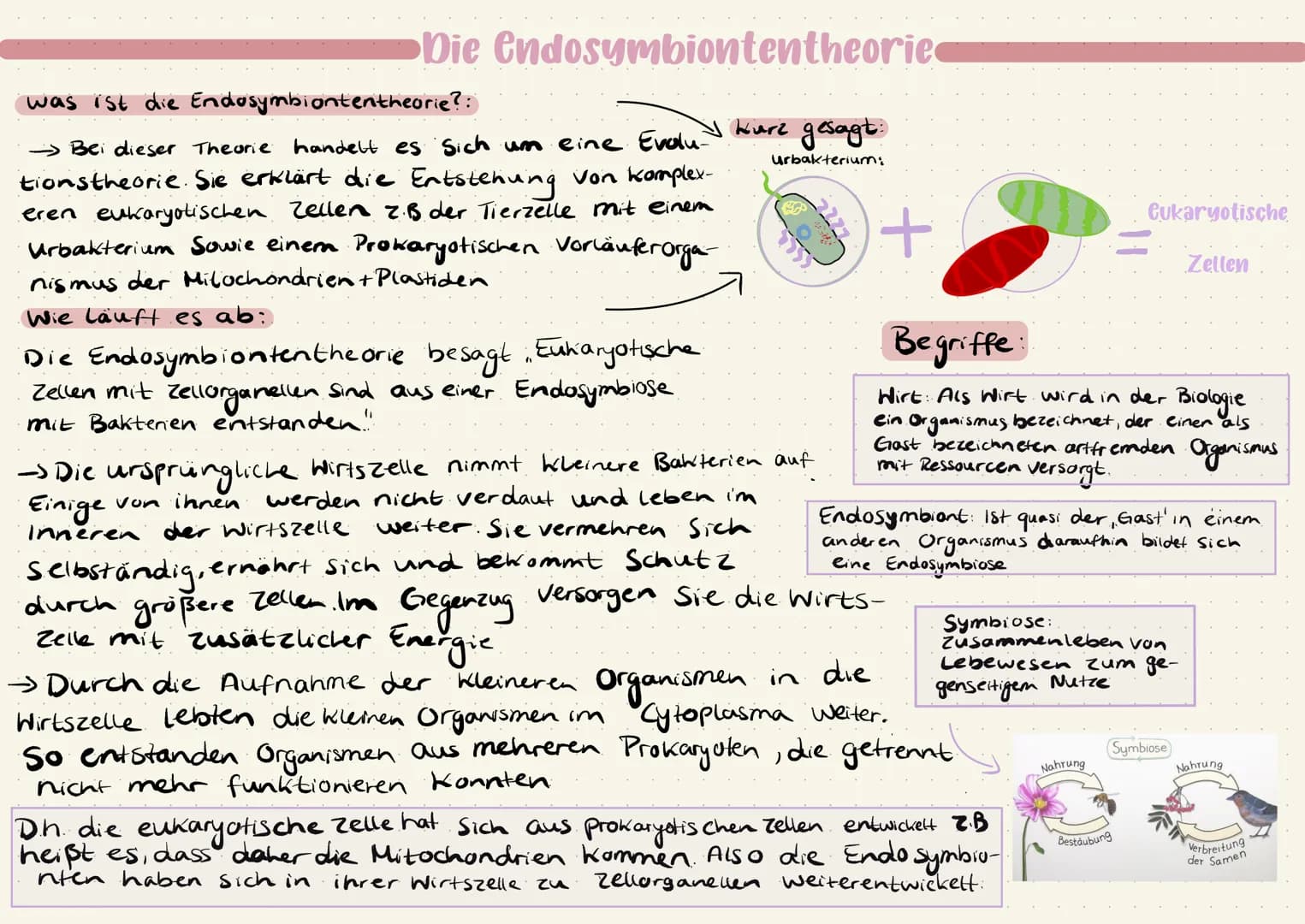 Die endosymbiontentheorie
was ist die Endosymbiontentheorie?:
Bei dieser Theorie
urbakterium:
handelt es sich um eine Evalu kurz gesagt:
tio