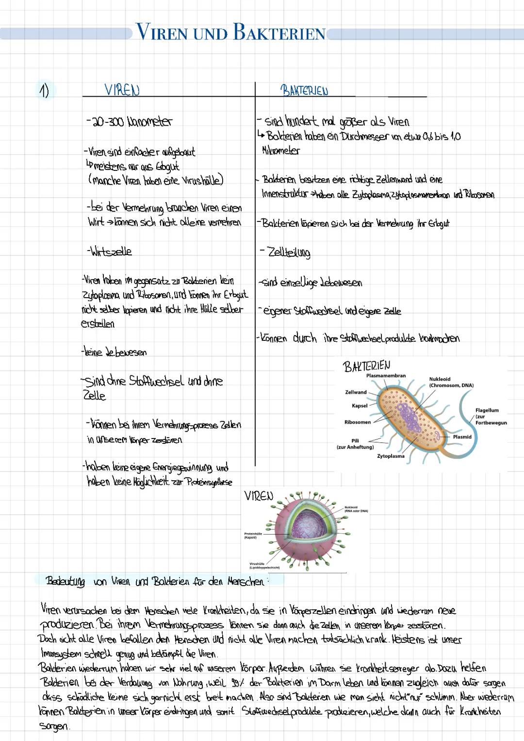 Vergleich und Unterschiede: Viren und Bakterien und ihre Auswirkungen auf Menschen