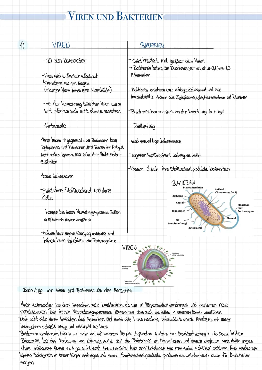 1)
VIREN UND BAKTERIEN
VIREN
-20-300 Nanometer
-Viren sind einfacher aufgebaut
Lameistens nur aus Erbgut
(manche Viren haben eine Virushülle