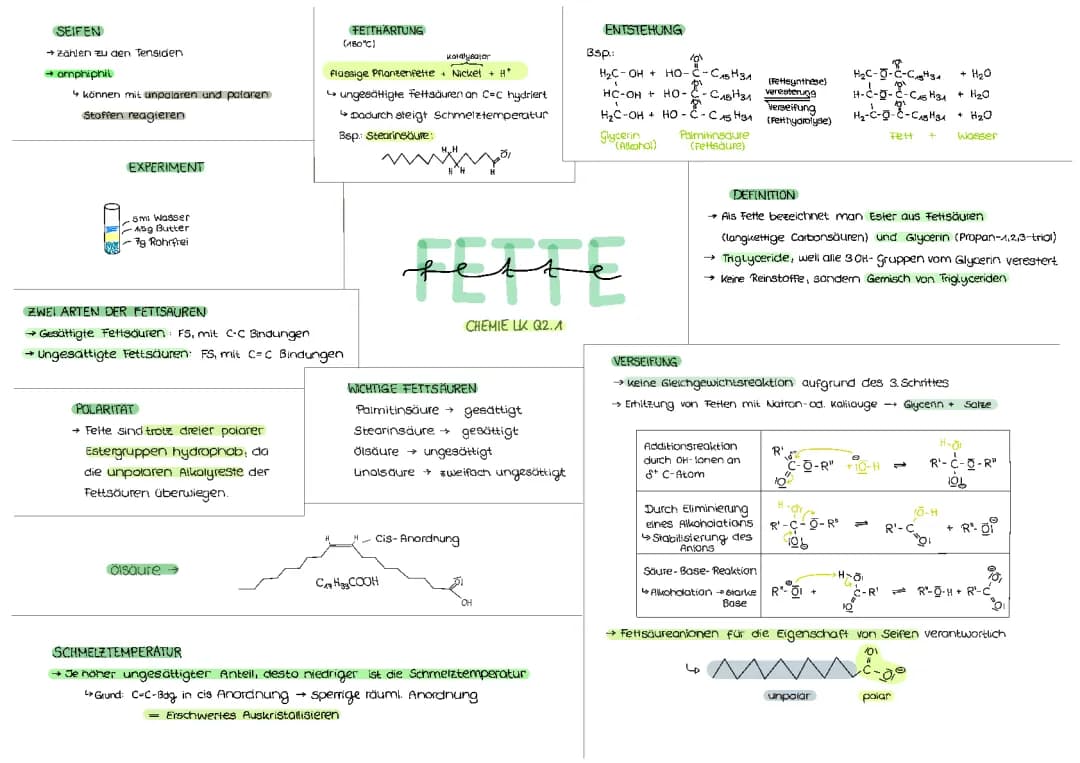 Fette (Chemie LK)