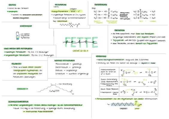 Know Fette (Chemie LK) thumbnail