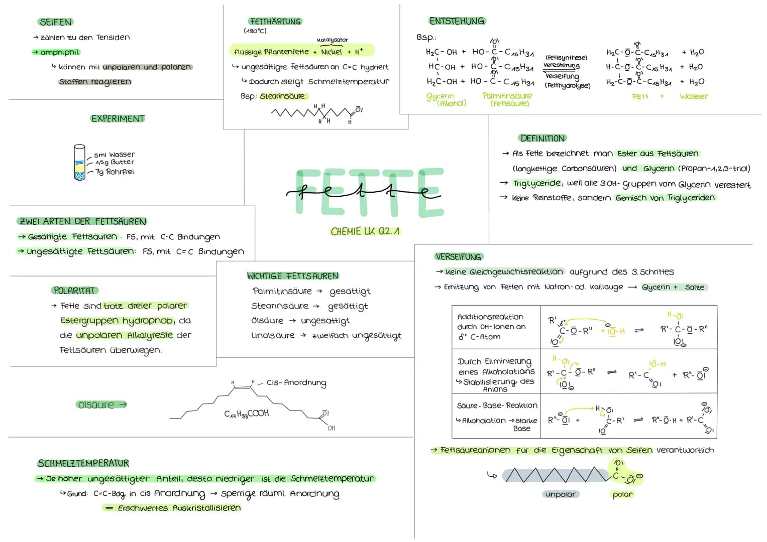 SEIFEN
→ Zählen zu den Tensiden
→ amphiphil
↳ können mit unpolaren und polaren
Stoffen reagieren
EXPERIMENT
5ml Wasser
1,5g Butter
7g Rohrfr
