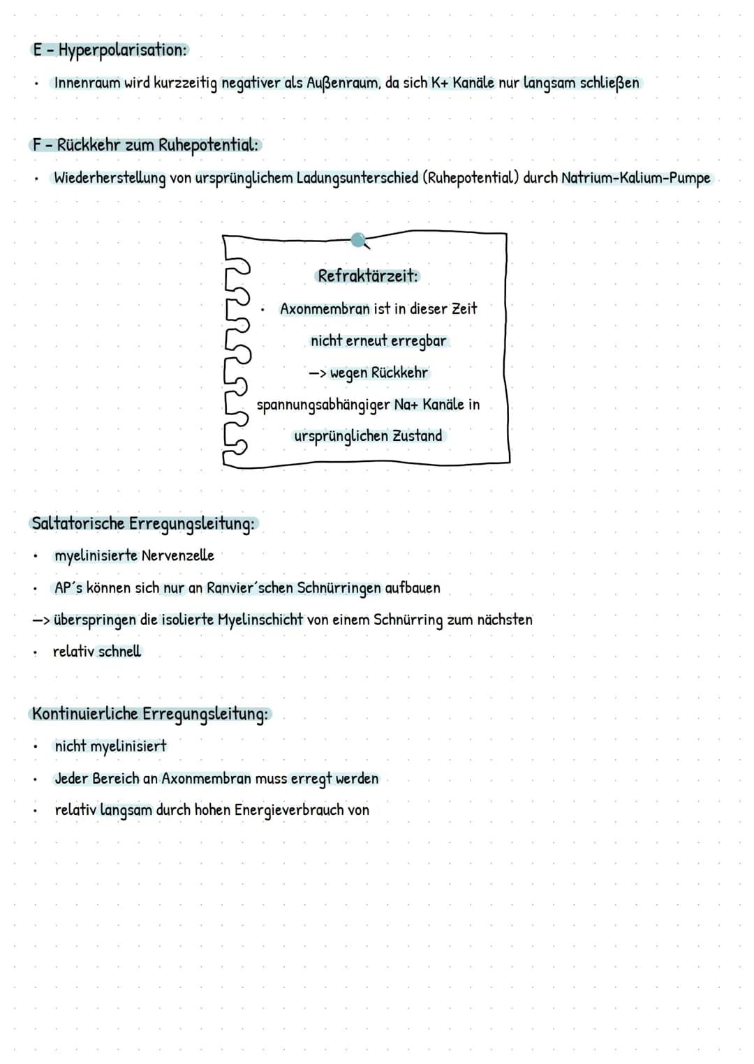 Soma
Axon
Endverzwei
gung
Myelinscheide
Soma
Dendriten
Zellmembran
Endknöpfchen
(präsynaptische
Endung)
Axon
Axonhügel
Dendriten ->
Endknöpf