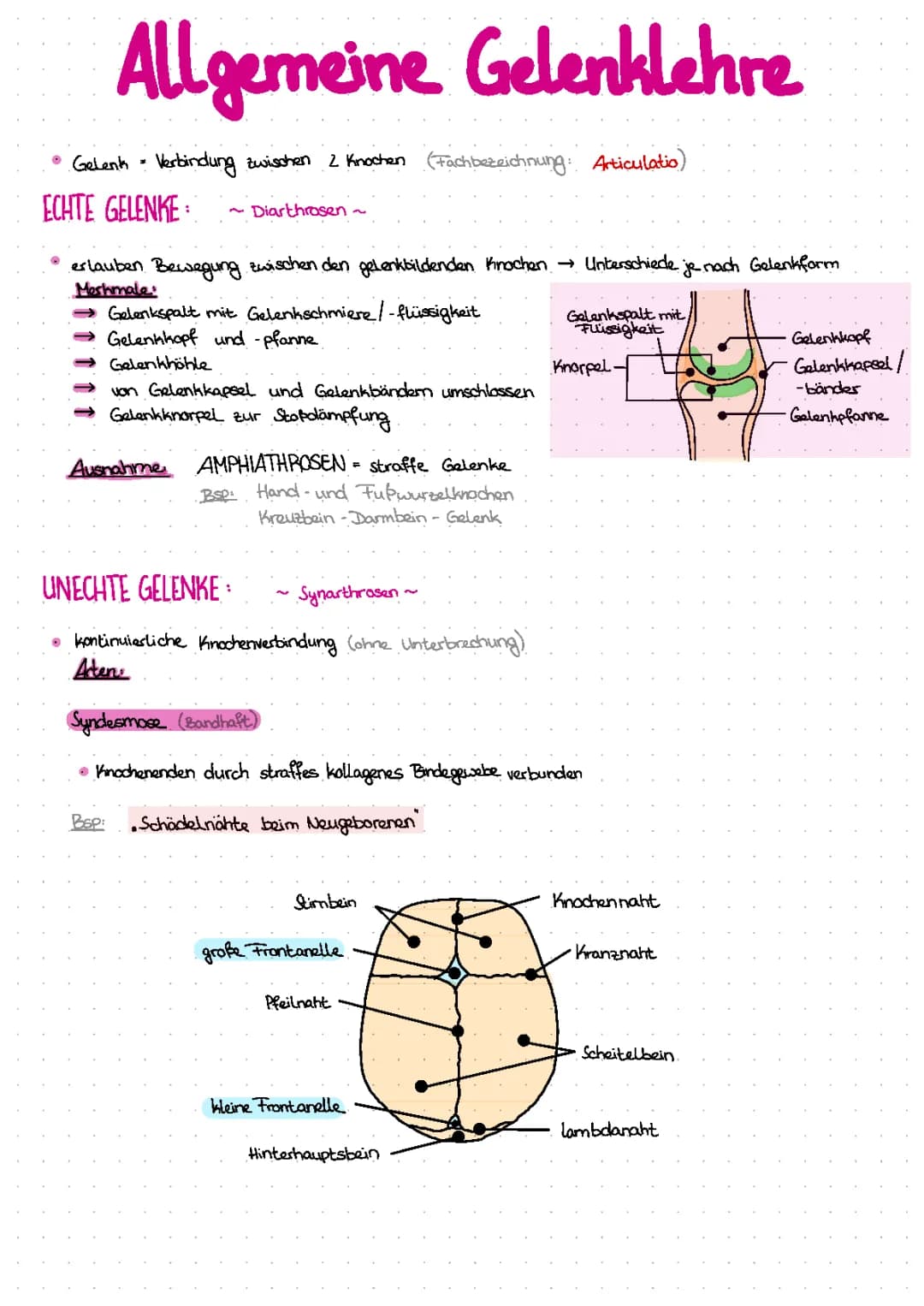 Allgemeine Gelenklehre