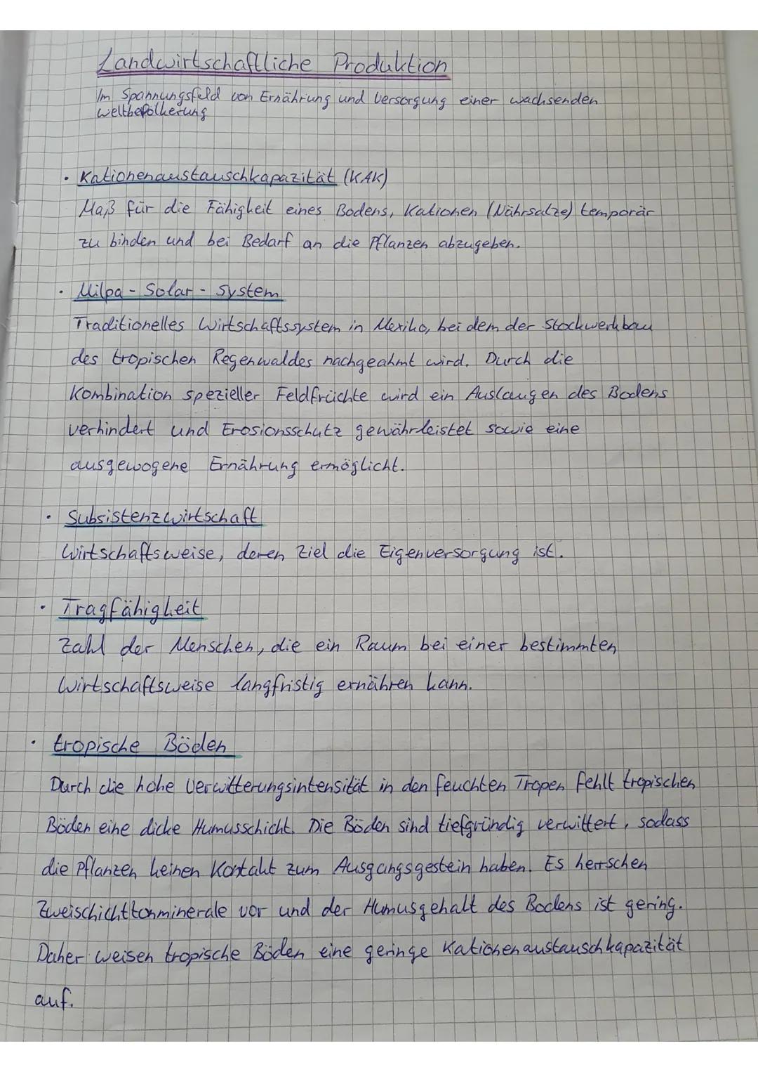 Plantagenwirtschaft und Pestizide: Vor- und Nachteile für Kids erklärt