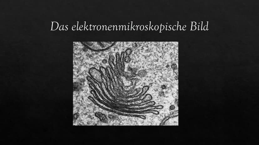 Dictyosomen
Der Golgi- Apparat
630 Inhalt der
Präsentation
Entdeckung des Golgi-Apparats
→ Was ist der Golgi-Apparat? Was ist ein Dictyosom?