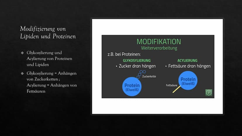 Dictyosomen
Der Golgi- Apparat
630 Inhalt der
Präsentation
Entdeckung des Golgi-Apparats
→ Was ist der Golgi-Apparat? Was ist ein Dictyosom?