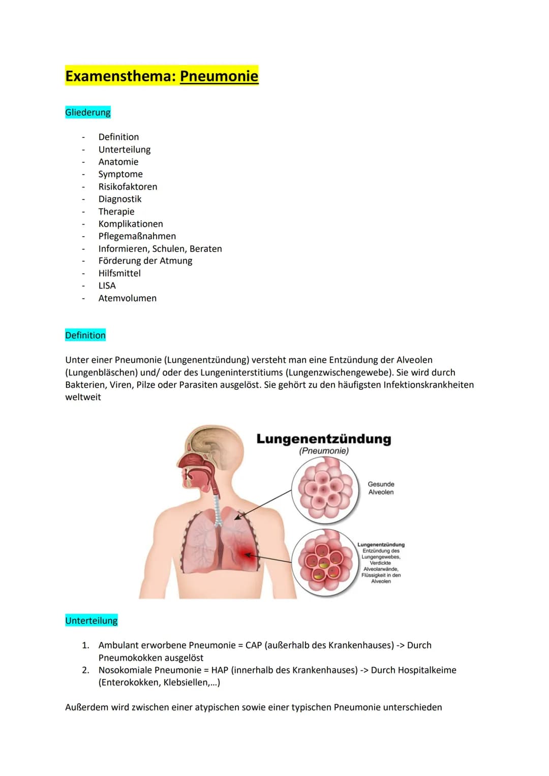 Examensthema: Pneumonie
Gliederung
Definition
Unterteilung
Anatomie
Symptome
Risikofaktoren
Diagnostik
Therapie
Komplikationen
Pflegemaßnahm