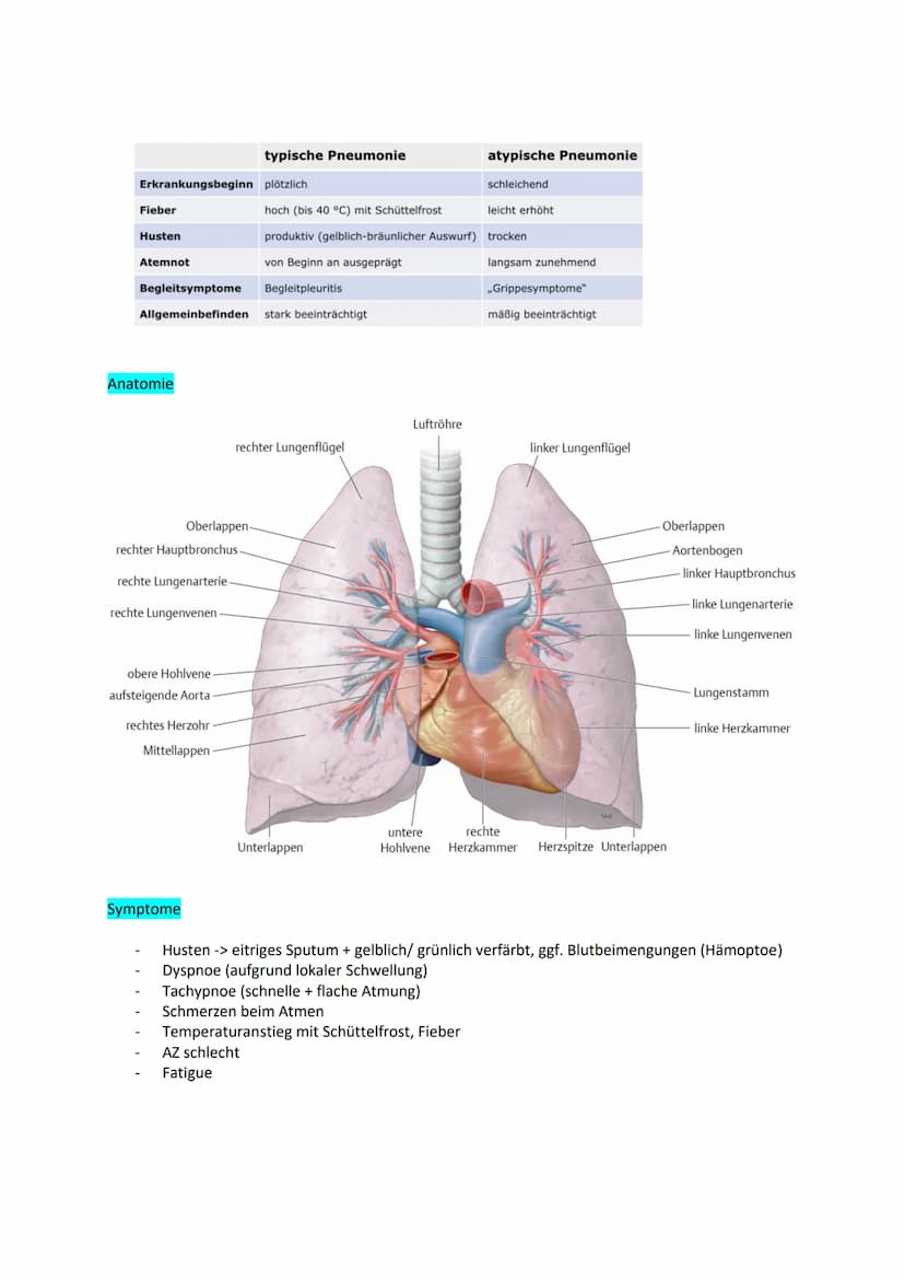 Examensthema: Pneumonie
Gliederung
Definition
Unterteilung
Anatomie
Symptome
Risikofaktoren
Diagnostik
Therapie
Komplikationen
Pflegemaßnahm