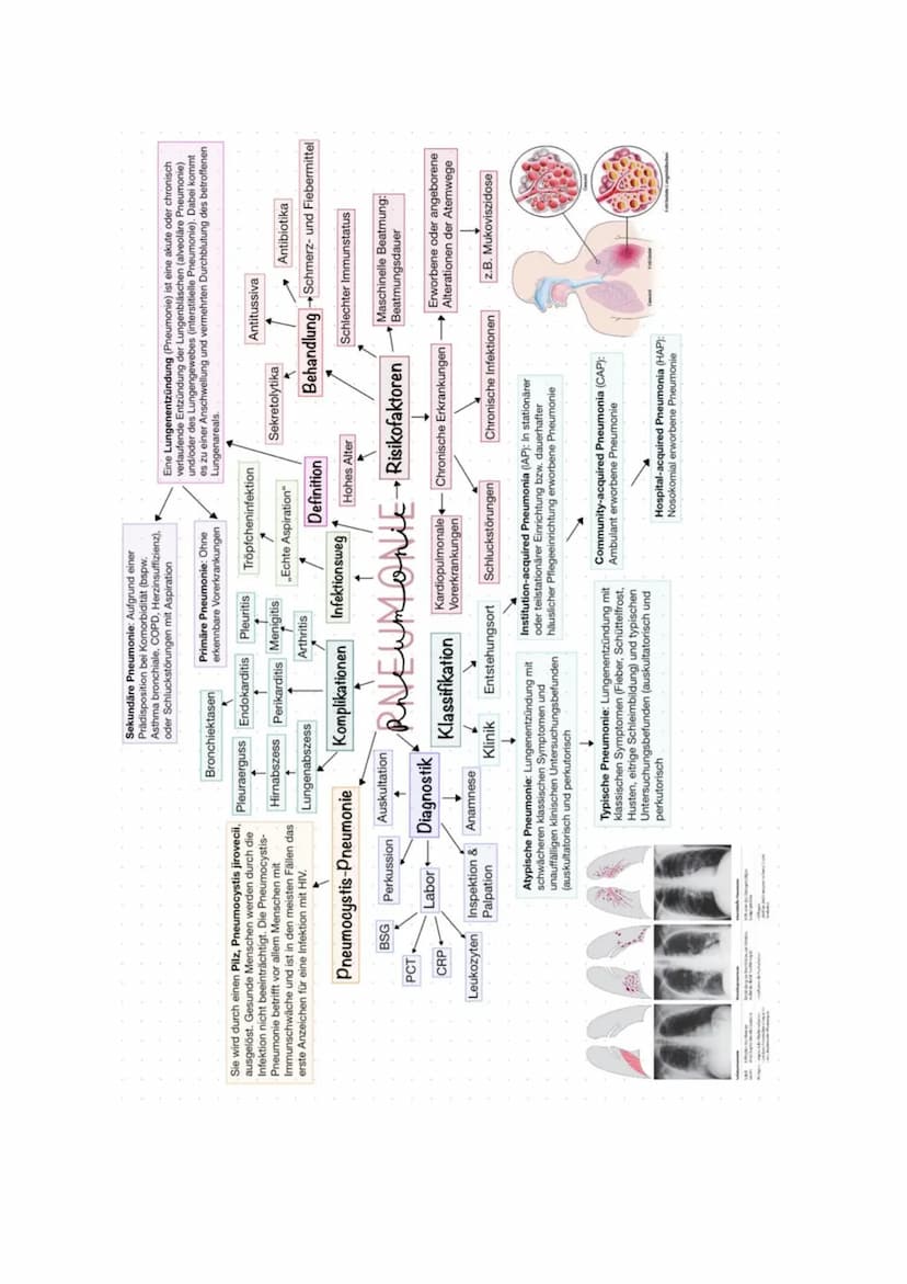 Examensthema: Pneumonie
Gliederung
Definition
Unterteilung
Anatomie
Symptome
Risikofaktoren
Diagnostik
Therapie
Komplikationen
Pflegemaßnahm