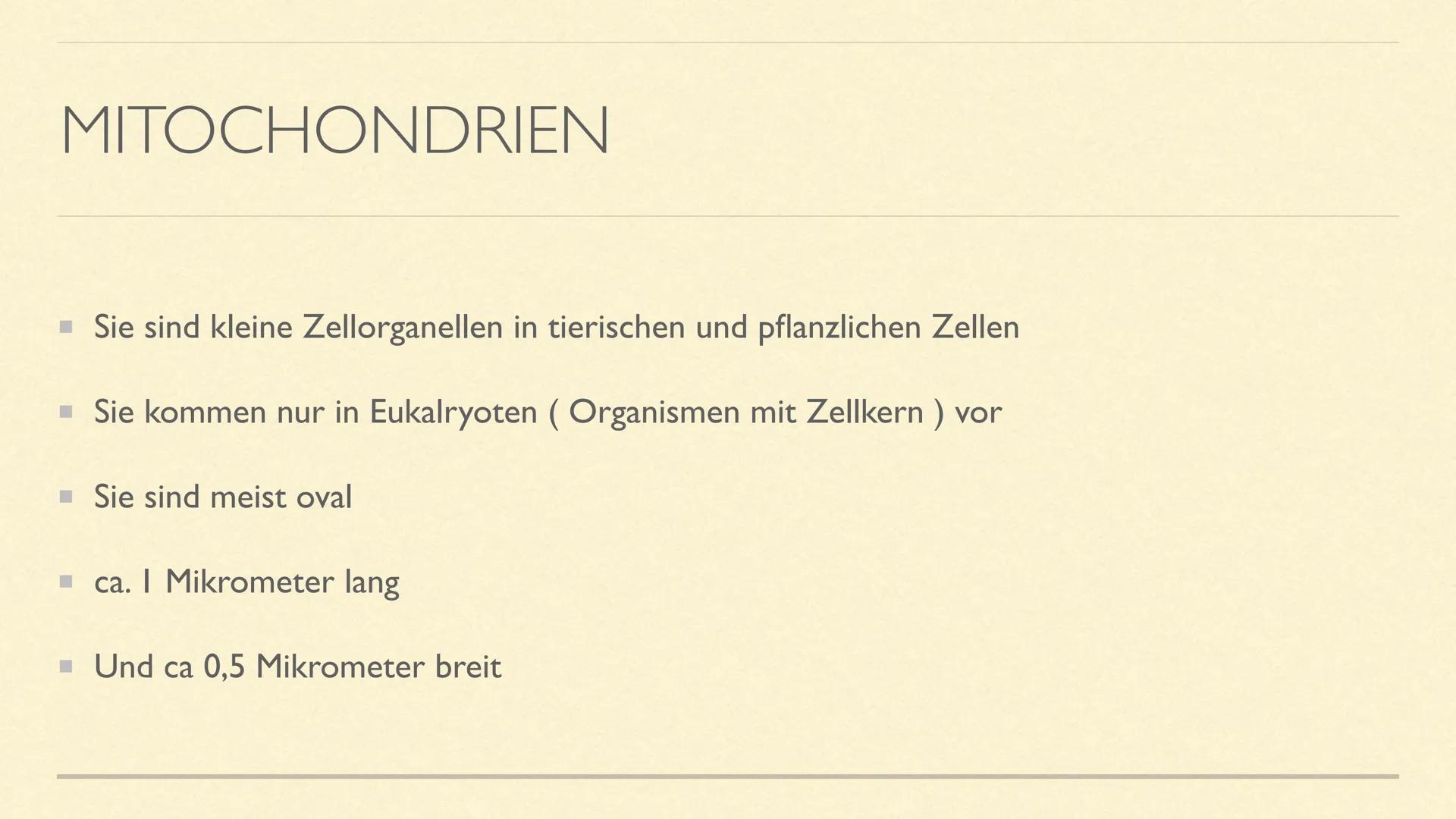 DIE MITOCHONDRIEN
Die Kraftwerke der Zelle MITOCHONDRIEN
Sie sind kleine Zellorganellen in tierischen und pflanzlichen Zellen
Sie kommen nur