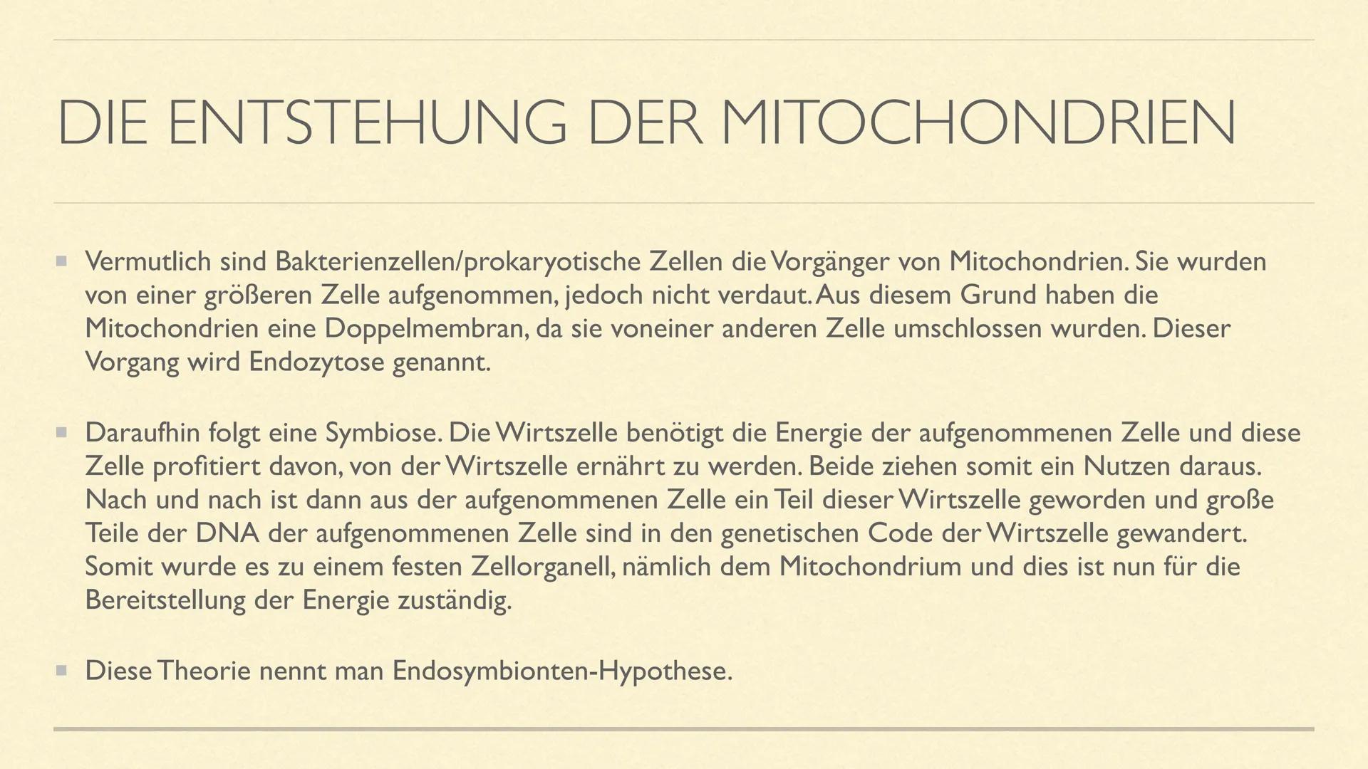DIE MITOCHONDRIEN
Die Kraftwerke der Zelle MITOCHONDRIEN
Sie sind kleine Zellorganellen in tierischen und pflanzlichen Zellen
Sie kommen nur