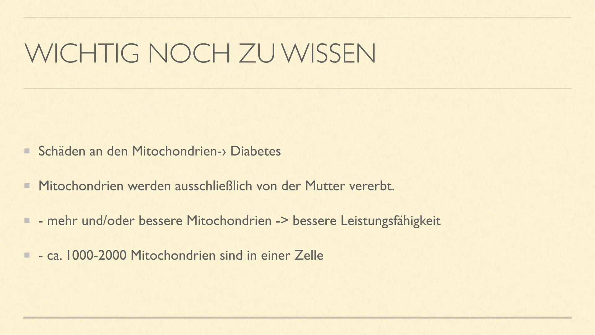 DIE MITOCHONDRIEN
Die Kraftwerke der Zelle MITOCHONDRIEN
Sie sind kleine Zellorganellen in tierischen und pflanzlichen Zellen
Sie kommen nur