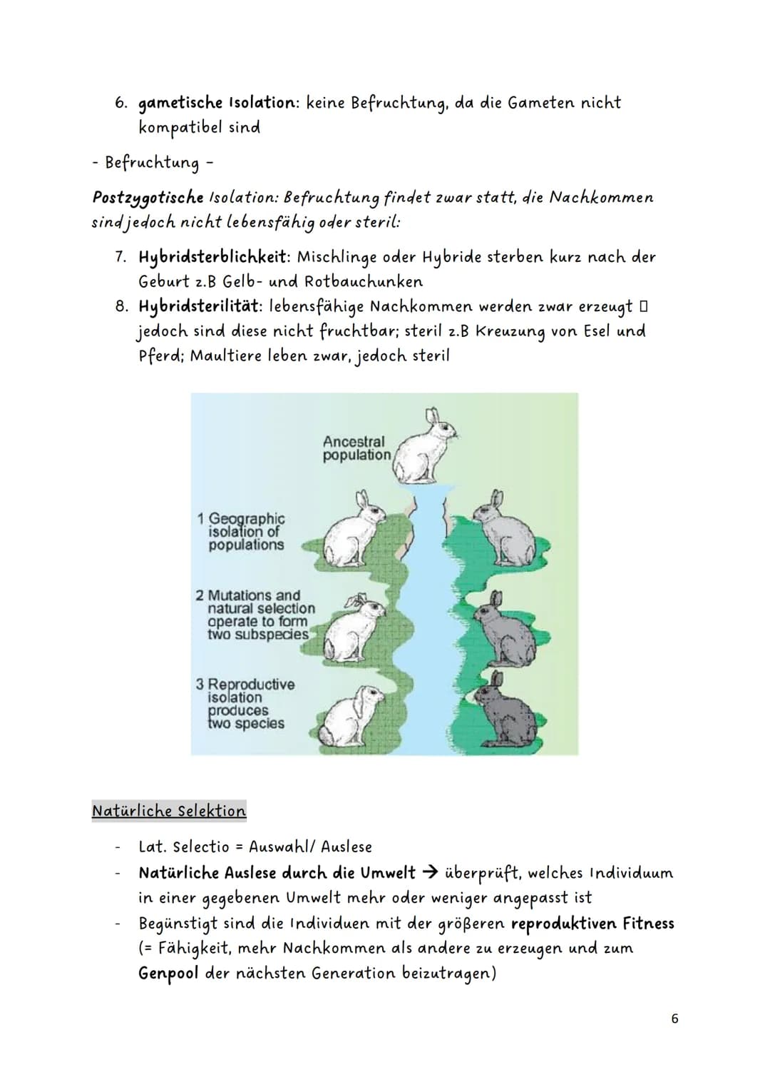 Glossar:
Evolution
Genetische
Variabilität
Genpool
Fitness
Genfluss
Panmixie
Harem
Divergenz
Konvergenz
Biodiversität
endemisch/
Endemiten
P