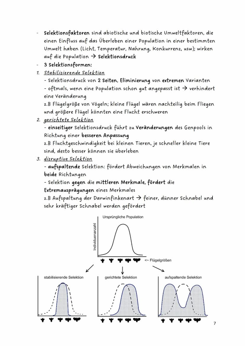 Glossar:
Evolution
Genetische
Variabilität
Genpool
Fitness
Genfluss
Panmixie
Harem
Divergenz
Konvergenz
Biodiversität
endemisch/
Endemiten
P