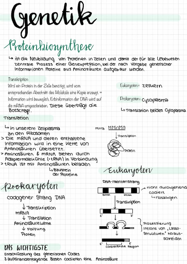 Know Genetik, Mutationen, Genregulation, Stammbaumanalyse, Erbgänge , Genetischer Fingerabdruck thumbnail