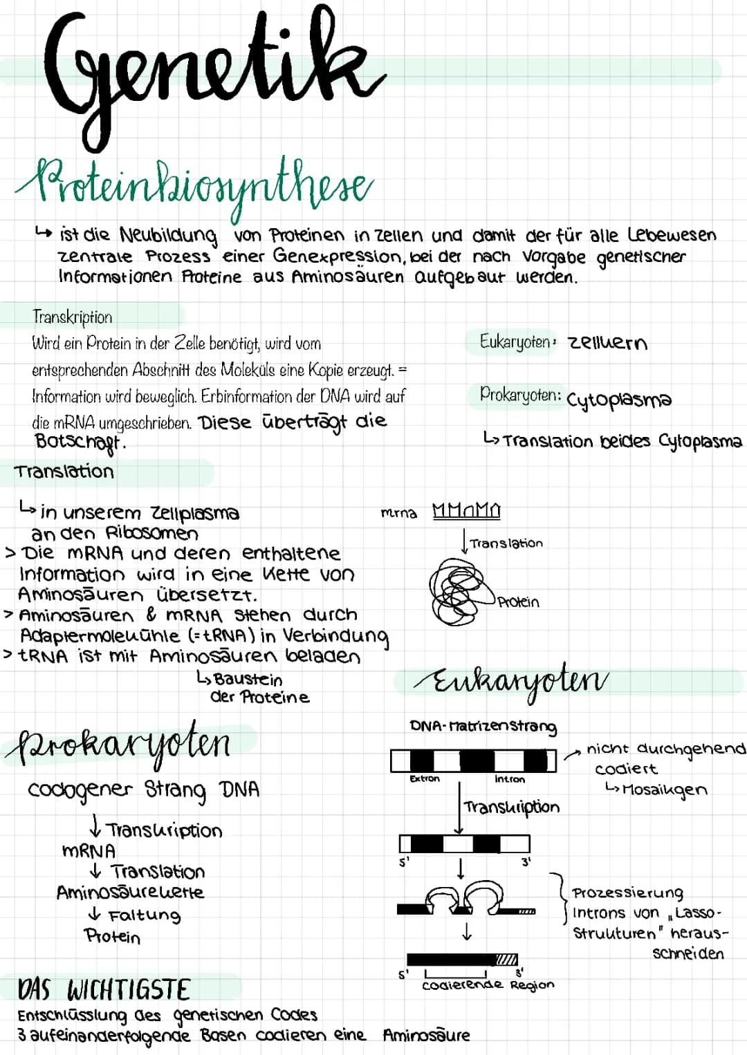 Genetik, Mutationen, Genregulation, Stammbaumanalyse, Erbgänge , Genetischer Fingerabdruck