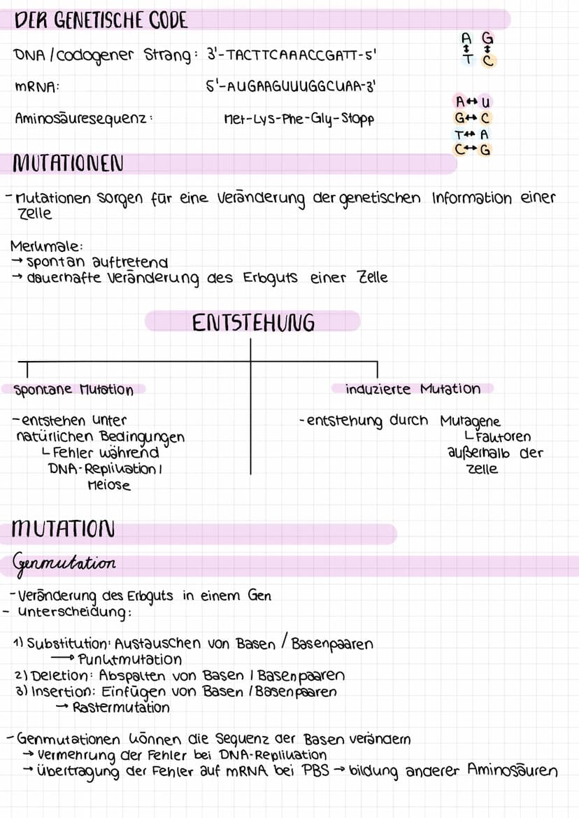 Genetik
Proteinkiosynthese
ist die Neubildung von Proteinen in Zellen und damit der für alle Lebewesen
zentrale Prozess einer Genexpression,